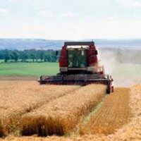Индекс сельхозпроизводства в Свердловской области вырос на 3,5%