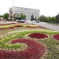 Мэрия выделила 23 млн рублей на новые цветы и деревья в Екатеринбурге