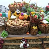 В Екатеринбурге возобновили сельскохозяйственные ярмарки