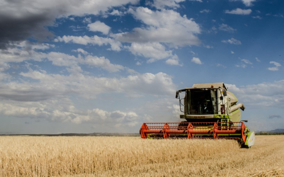 В Свердловской области аграрии получат 220 млн рублей поддержки из-за засухи