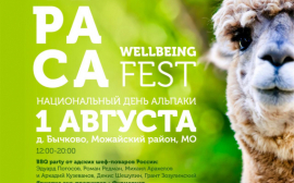 Заряд позитива и доброты – на летнем гастрономическом фестивале Alpaca Wellbeing Fest