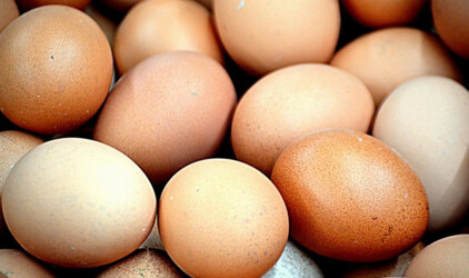 В Свердловской области назвали самые подорожавшие за четыре года продукты