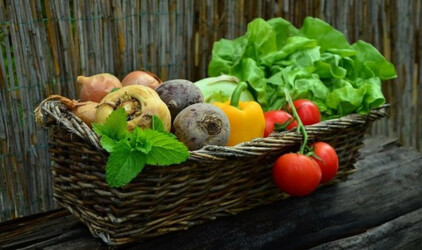Путин спросил Лут о перспективах стабилизации цен на сельхозпродукты в РФ