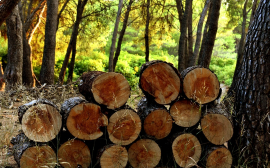 ЮниКредит Лизинг профинансировала лесовозные платформы, произведенные Объединенной Вагонной Компанией для ООО «Лузалес