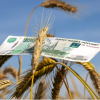 В 2024 году для аграриев одобрили льготных краткосрочных кредитов на 245 млрд рублей