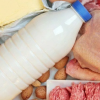 Россия получила доступ для поставок меда, рыбной и молочной продукции в Кувейт