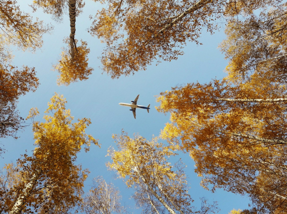 Выгодная осень: продолжается традиционная распродажа Уральских авиалиний на бархатный сезон