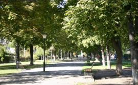 В Екатеринбурге парк Зеленая Роща реконструируют за 161 млн рублей