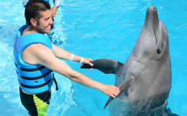 В Свердловской области возобновлена работа зоопарков и дельфинариев