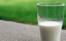 В Свердловской области аграрии и производители молока получат дополнительную поддержку