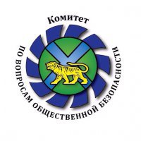 В Свердловской области не поддержали создание комитетов общественной безопасности