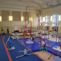 В Екатеринбурге открыли Академию спортивной гимнастики