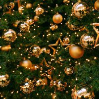 Власти Екатеринбурга потратят на новогоднюю елку 3,5 млн рублей