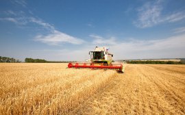 В Свердловской области убрали 92% зерновых культур