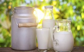 Евгений Куйвашев выделил производителям молока 317 млн рублей‍