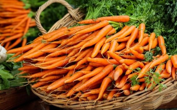 В Свердловской области морковь за месяц выросла в цене на треть