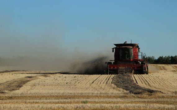 В Свердловской области на новые сельхозземли выделили около 54 млн рублей