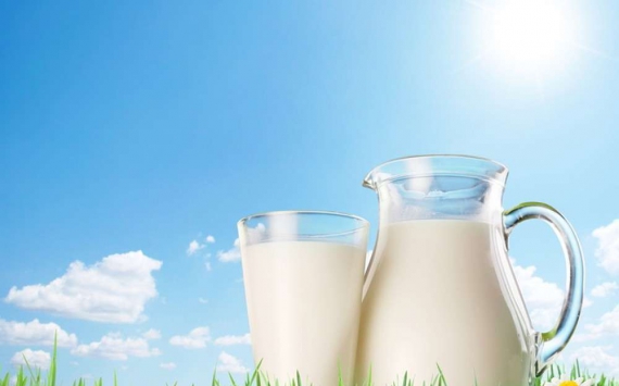 В Свердловской области производство молока выросло на 4,5%